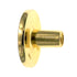 10 Pack Amerock Allison BP755-3 Polished Brass 1 1/4 Inch Cabinet Knob Pulls