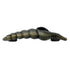 Hickory Hardware South Seas Antique Mist Shell 3" or 3 3/4" (96mm)cc Handle Pull PA0121-AM