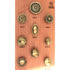 Hickory Hardware Manor House Lancaster Hand Polished Brass 1 1/4" Cabinet Knob