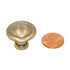 Amerock Allison Lustre Brass 1" Disc Cabinet Knob 847LB