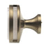 Amerock Oberon 1 3/8" Round Cabinet Knob Golden Champagne Frosted BP36608BBZFA