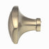 Amerock Sea Grass 1 1/2" Rectangle Cabinet Knob Golden Champagne BP36614BBZ