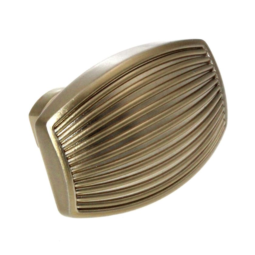 Amerock Sea Grass 1 3/4" Rectangle Cabinet Knob Golden Champagne BP36617BBZ