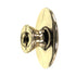 Amerock Allison Polished Brass 1 1/2" Oval Cabinet Knob BP76270-3