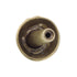 Amerock Veggie'Z Regency Brass 1 3/8" Round Tomato Cabinet Knob BP9333-R1