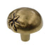 Amerock Veggie'Z Regency Brass 1 3/8" Round Tomato Cabinet Knob BP9333-R1