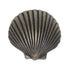 Hickory Hardware South Seas Antique Mist Oval Sea Shell 1 3/8" Cabinet Knob PA0112-AM