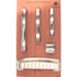 Hickory Hardware Bridges 1 3/16" Chrome Square Ornate Cabinet Knob P3230-CH