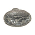 Anne at Home Nature Lyric Small 1 1/4" Vine Cabinet Knob Pewter Matte 1280-1