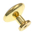 Perilla para gabinete de latón pulido de 1 1/4", centro de cerámica blanca Kraftmaid 7050846