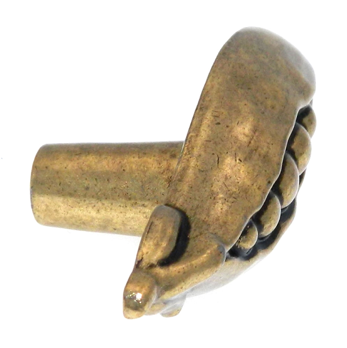 Amerock Veggie'Z 2 3/8" Regency Brass Novelty Pea Pod Cabinet Knob BP9336-R1