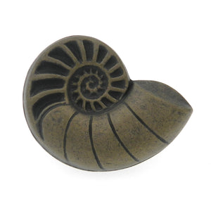 Hickory Hardware South Seas Antique Mist Round Nautilus Shell 1 1/2" Cabinet Knob PA0114-AM